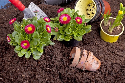 Professional planting services in Mortlake for residential gardens