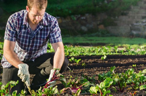 Management reviewing annual modern slavery controls