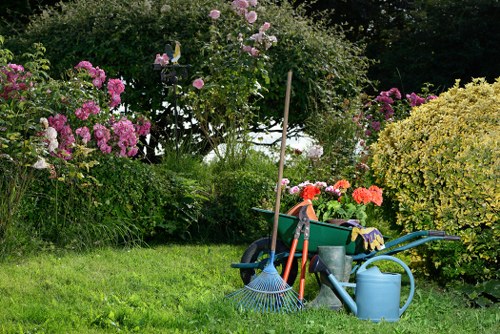 Landscape design for a Mortlake garden with structured planting