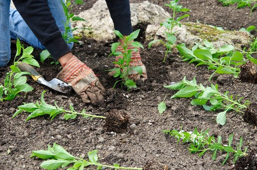 Free quote policy for Mortlake landscaper services