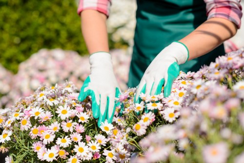 Garden soil and turf conditions affecting Mortlake lawn care
