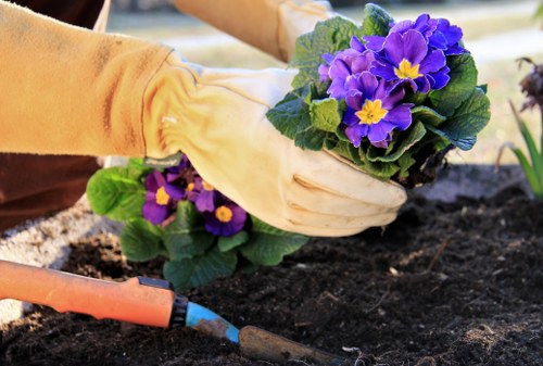 Seasonal garden upkeep in a Mortlake outdoor space