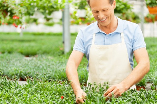 Safe bank transfer and PayPal options for landscaping payments