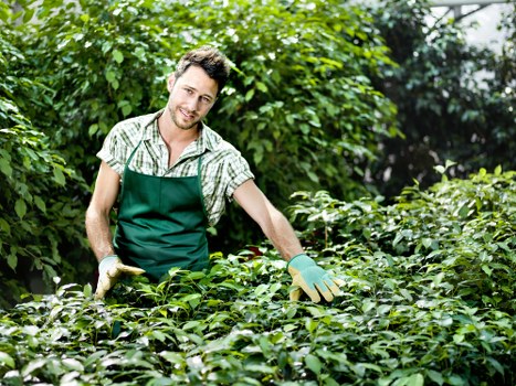 Inclusive Mortlake landscaping website experience for all users