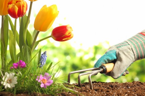 Transparent landscaping and rubbish removal pricing in Mortlake