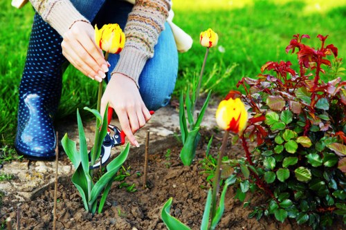 Garden tidy-up and planting care in Mortlake