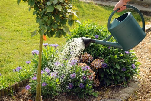 Professional gardeners planning a balanced landscape with paths and greenery