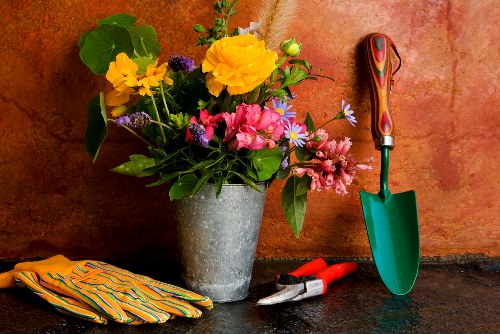 Sustainable Mortlake planting services featuring native plants