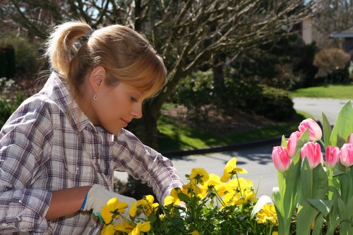 Landscapers Mortlake reinforcing ethical business standards